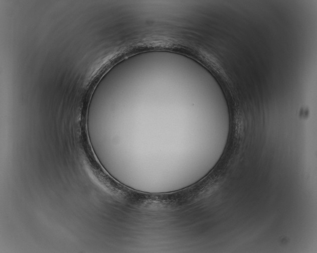 X0000111530538200907281405