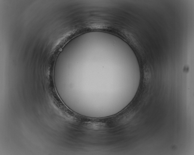 X0000111530539200907281405