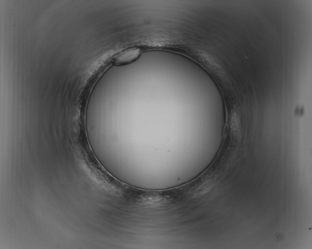 X0000111530540200907281405