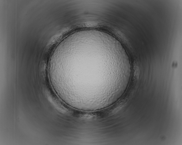 X0000111530542200907281405