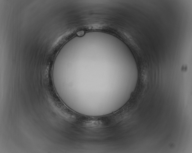 X0000111530543200907281405