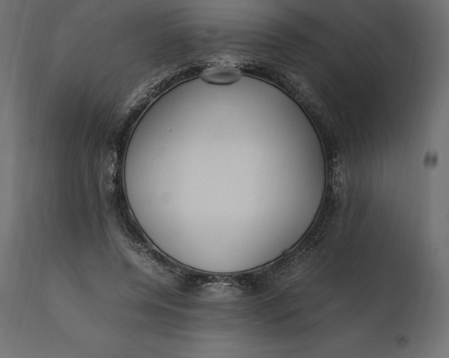 X0000111530544200907281405