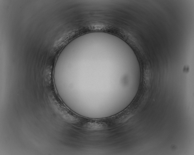 X0000111530545200907281405