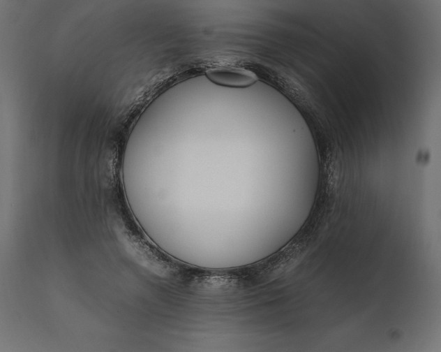 X0000111530546200907281405