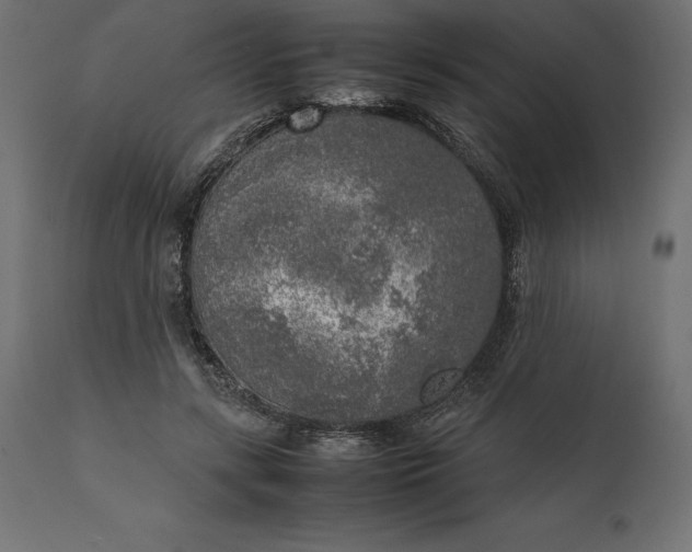 X0000111530547200907281405