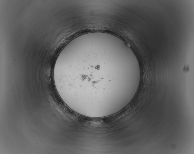 X0000111530548200907281405