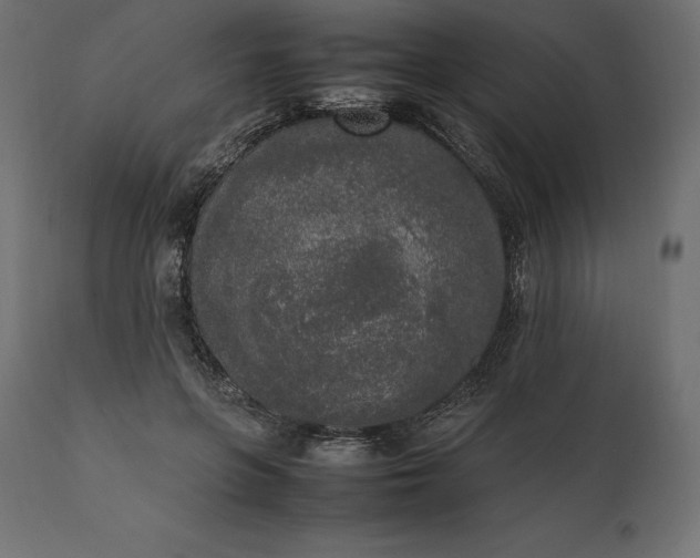 X0000111530551200907281405