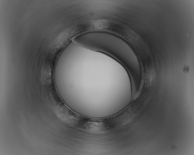 X0000111530552200907281405