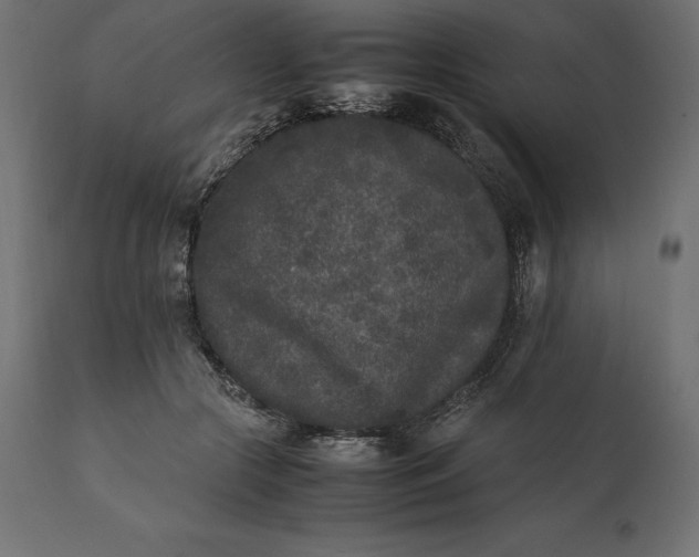 X0000111530553200907281405