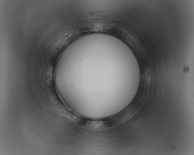 X0000111530554200907281405