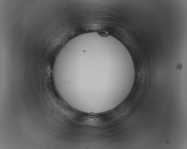 X0000111530555200907281405