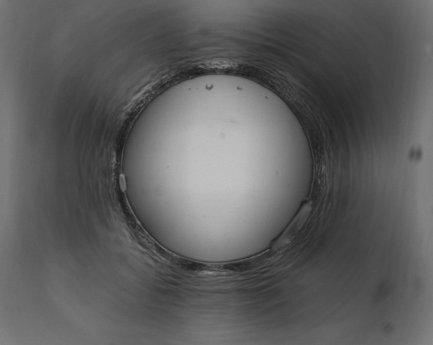 X0000111530556200907281405