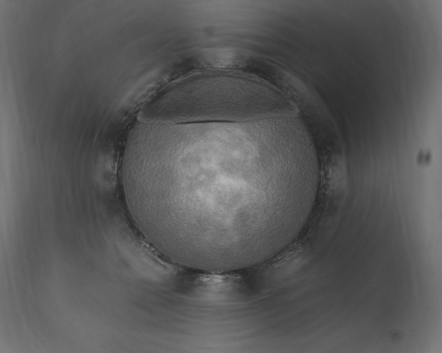 X0000111530558200907281405