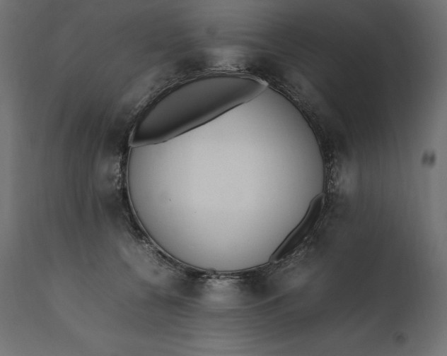 X0000111530560200907281405