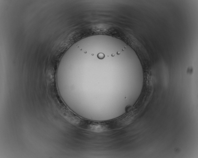 X0000111530561200907281405