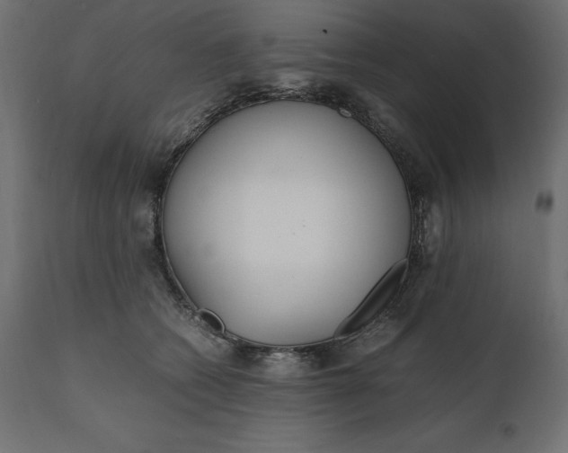 X0000111530562200907281405