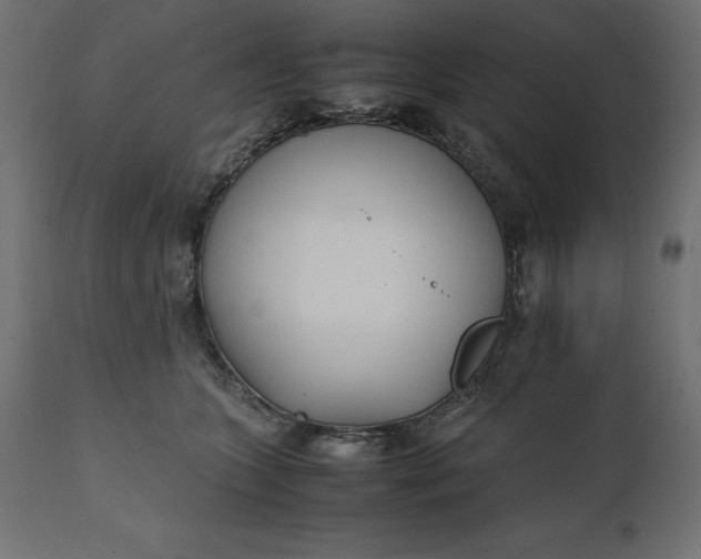 X0000111530563200907281405