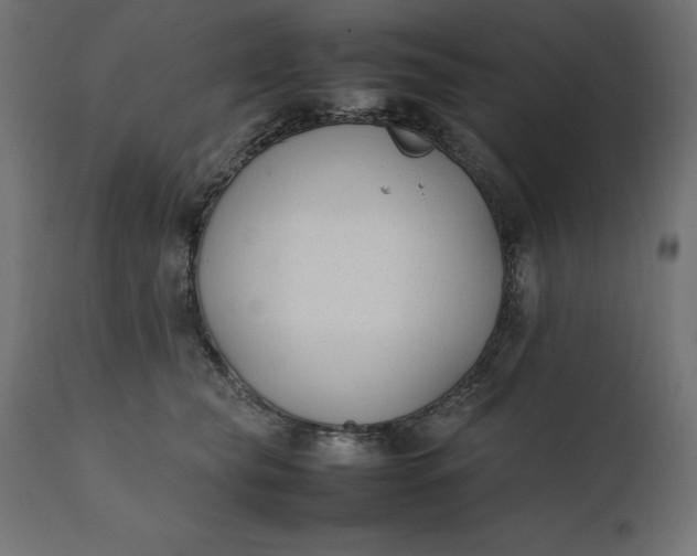 X0000111530565200907281405