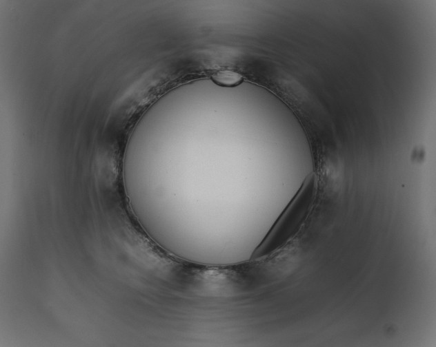 X0000111530566200907281405