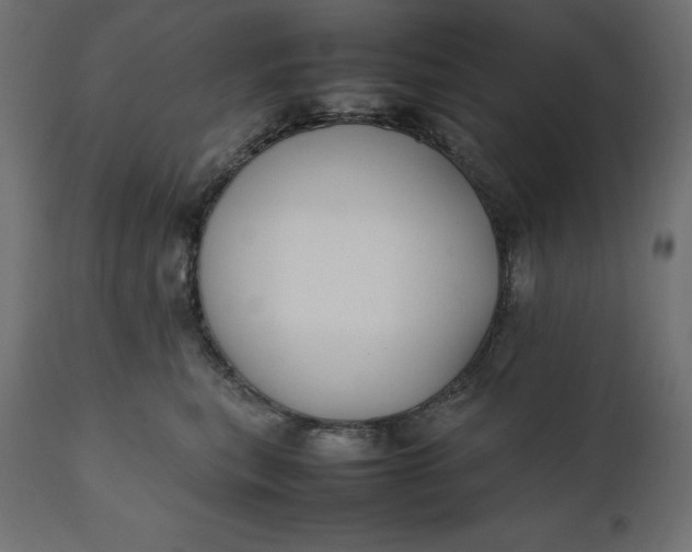 X0000111530567200907281405