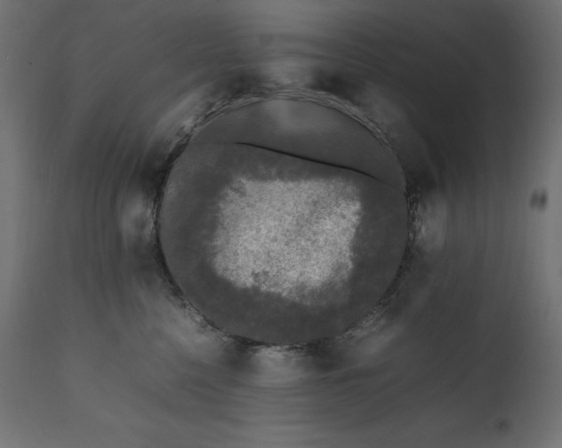 X0000111530568200907281405