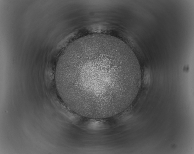 X0000111530569200907281405