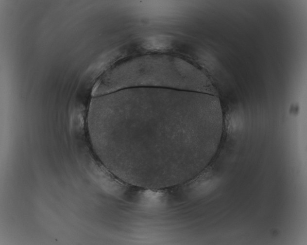 X0000111530570200907281405