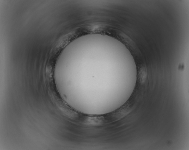 X0000111530571200907281405