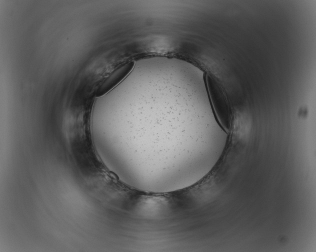 X0000111530572200907281405