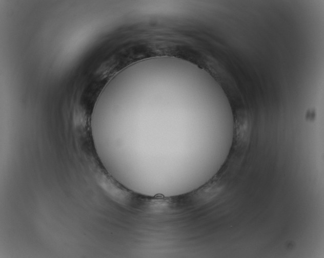 X0000111530574200907281405