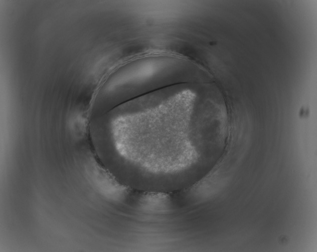 X0000111530576200907281405