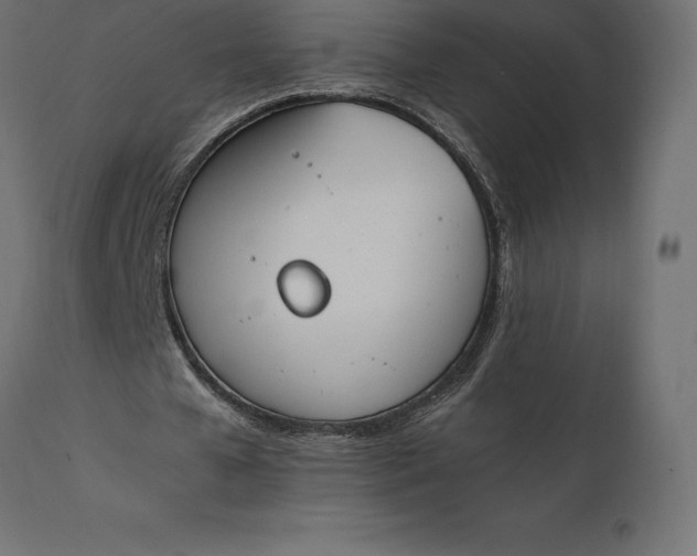 X0000111530577200907281405