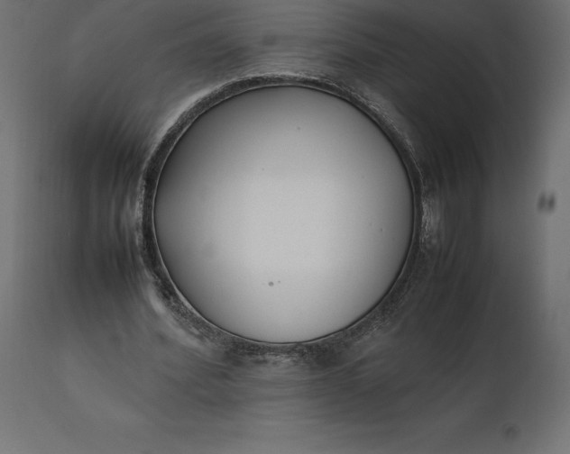 X0000111530580200907281405