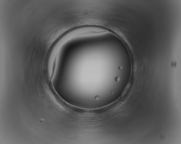 X0000111530581200907281405