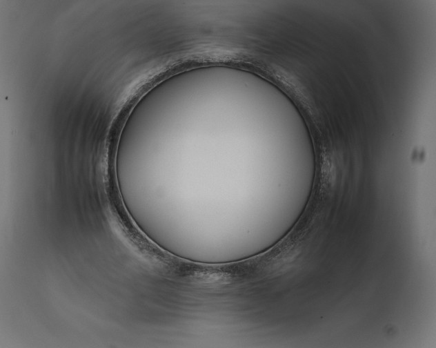 X0000111530582200907281405