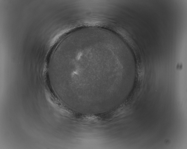 X0000111530583200907281405