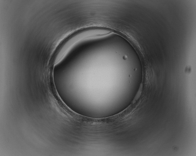 X0000111530584200907281405