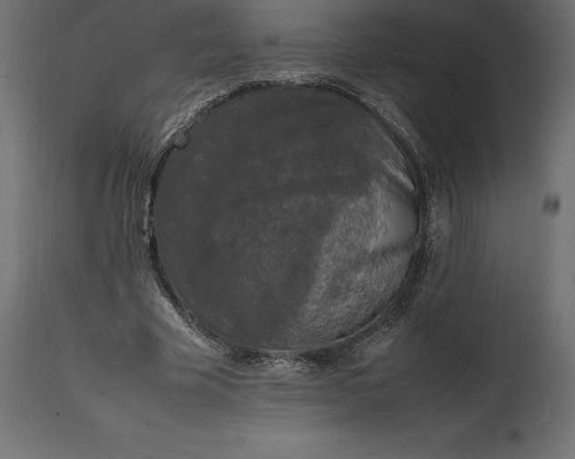 X0000111530585200907281405