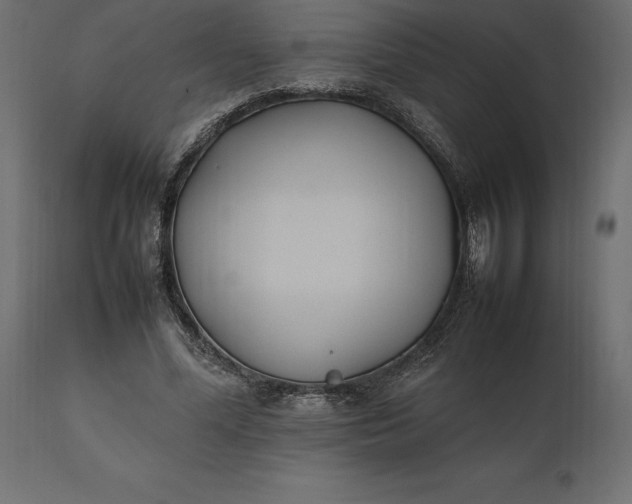 X0000111530588200907281404