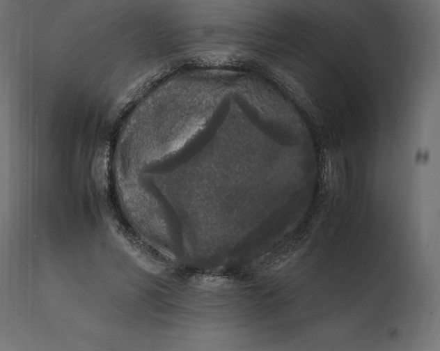 X0000111530590200907281404