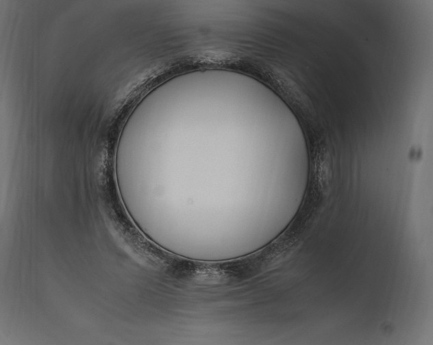 X0000111530591200907281404