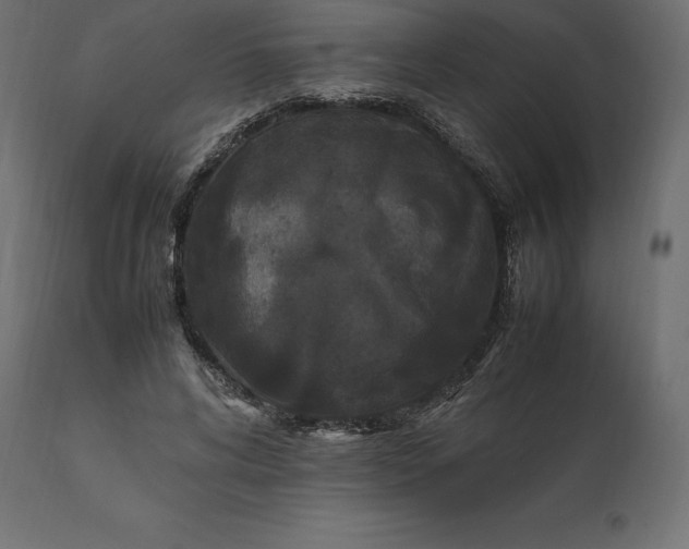 X0000111530592200907281404