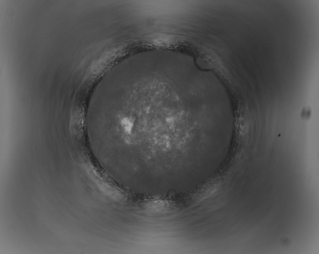 X0000111530593200907281404