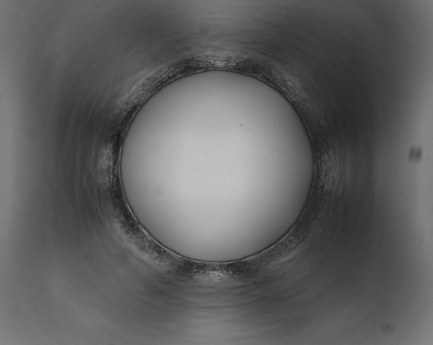 X0000111530594200907281404