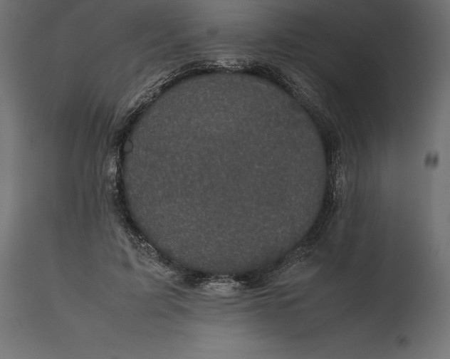 X0000111530595200907281404