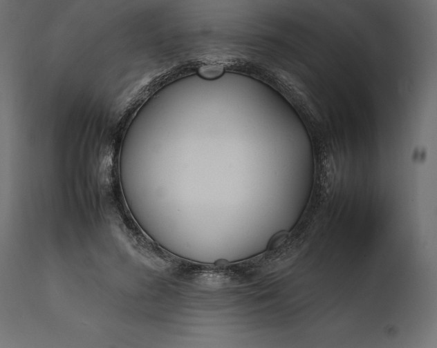 X0000111530596200907281404