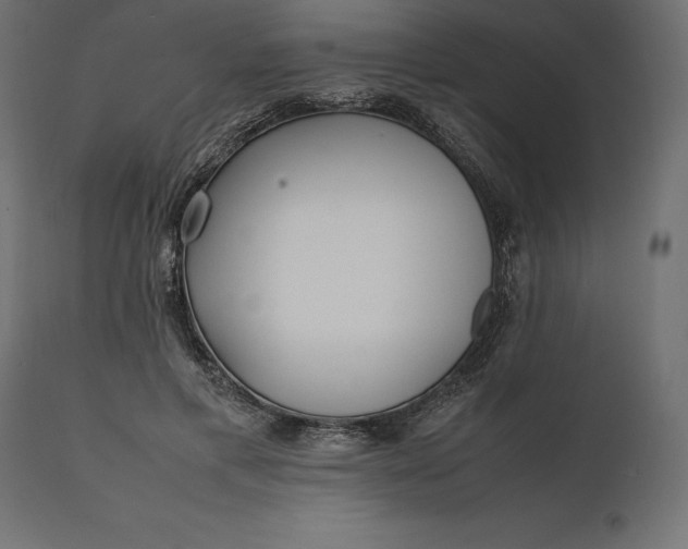 X0000111530597200907281404