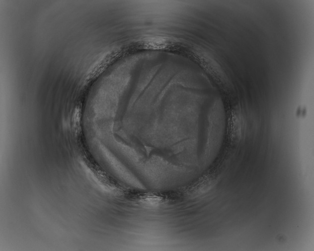 X0000111530598200907281404