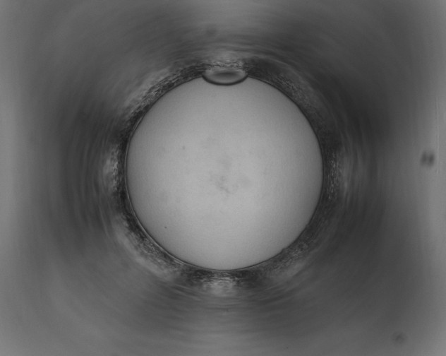 X0000111530600200907281404