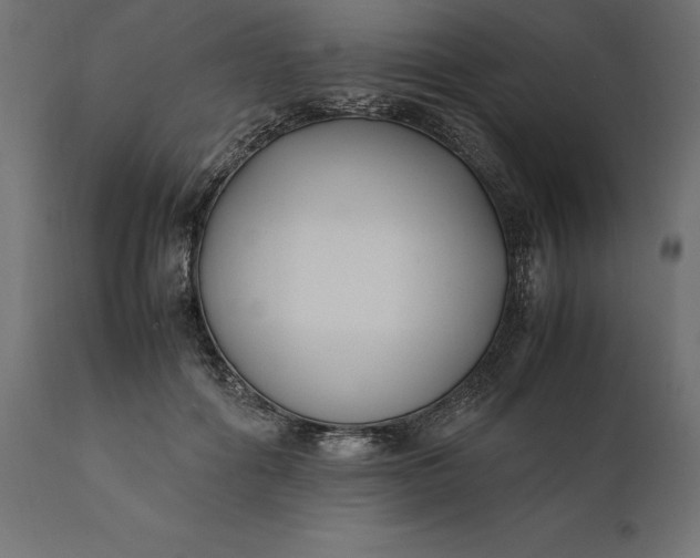 X0000111530602200907281404